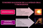 tumores malignos de la cavidad oral