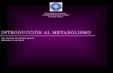 Clase 9 Introduccion Al Metabolismo Buena
