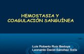 Hemostasia  y Coagulacion Sanguinea