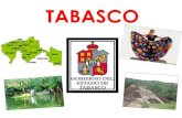 Una semana para conocer México, estructura socieconómica de México, TABASCO