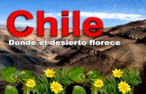 Clase de Conversación - Chile: el desierto florido