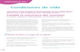 Cetelem Observador 2006: Las condiciones de vida en España