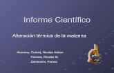Informe CientíFico
