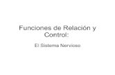 Power point 2 Funciones de relación y control