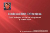 Seminario endocarditis infecciosa