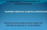 Categorías Taxonómicas - Sandra Milena García Gonzalez