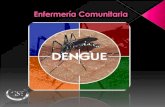EnfermeríA Comunitaria Dengue Vista