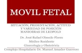 Movil fetal