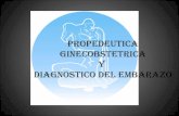 Propedeutica Ginecobstetrica