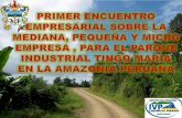 Infraestructura Vial en la Provincia de Leoncio Prado y la Integración al Parque Industrial Tingo María