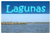 Lagunas BIOMAS de Uruguay
