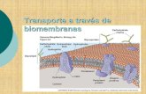 Transporte a través de biomembranas