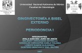 Gingivectomia A Bisel Externo - Tema 4