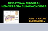 Hematoma Subdural y Hemorragia Sub aracnoidea