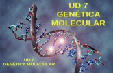 Genetica molecular 1º parte (adn, replicación, transcripción y traducción)
