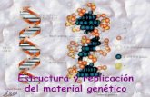 Esructura y replicacion del material genetico