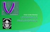 8.  Legionella y klebsiella
