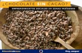 ¿Cómo hacer chocolate sin cacao? Emprendimientos sociales en zonas indígenas