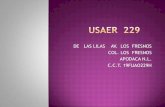 Presentación USAER 229