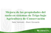 Mejora de las propiedades del suelo en sistemas de Trigo bajo Agricultura de Conservación
