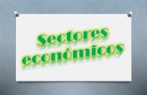 Los sectores economicos