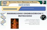 Aberraciones cromosomicas y mutaciones ccromosomicas