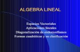 5968 algebra-lineal