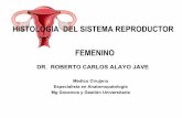 Female reproductive system ponencia (1)