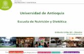 Contribución de la caracterización de seguridad alimentaria y nutricional del Municipio de Medellín a la reflexión sobre la garantía del derecho a la alimentación