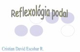 Reflexi³n reflexoterapia