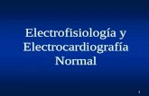 1 35 electrofisiología y electrocardiografía normal
