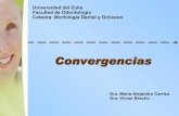 Convergencias 2008