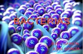 Bacterias eric y juan bacterias ACT