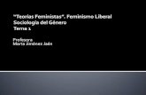 Feminismo liberal contemporaneo