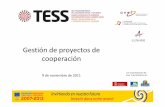 Experiencia TESS: Gestión de proyectos de cooperación upna 091111