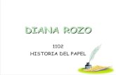 Diana Rozo Historia Del Papel 1102
