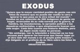 Exodus Salgado