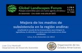 Mejora de los medios de subsistencia en la región andina