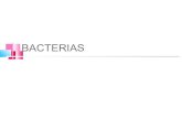 3 bacterias platica[2]