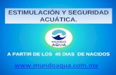 MundoAqua® Estimulación y Seguridad Acuática