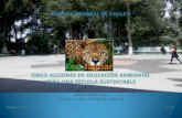 Eco jaguar escuela normal de chalco_liliana florín del castillo