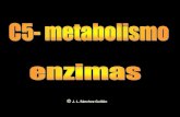 C5 metabolismo pdf1
