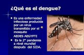 "Campaña contra el dengue," CEP2, Resistencia Chaco