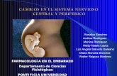 8. Sistema Nervioso Central Y Periferico en el embarazo