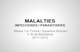 Malalties infeccioses i parasitàries
