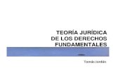 Derecho Constitucional I Chile: Teoría jurídica de los Derechos Fundamentales.