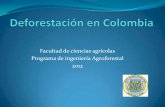 Deforestación en colombia