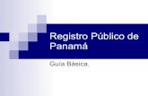 Guia Registro Público