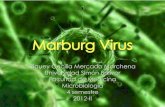 marburg virus riguey mercado marchena