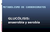 Glucolisis anaerobia y aerobia